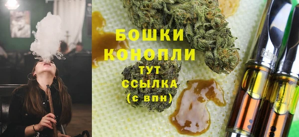 амф Верея
