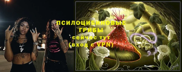 прущая мука Верхний Тагил