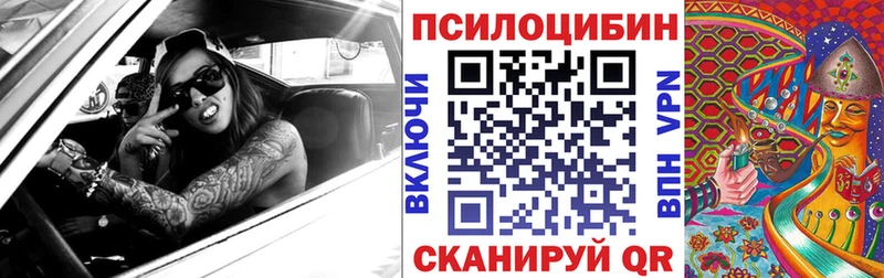 Галлюциногенные грибы Psilocybine cubensis  Купить закладки  Нелидово 